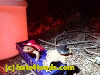 /home//u458753944/public_html/sourcegallery/////////////////////////Roxborough Toad Detour/2013-2019/2017/P4040676.JPG